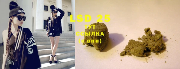 spice Богородицк