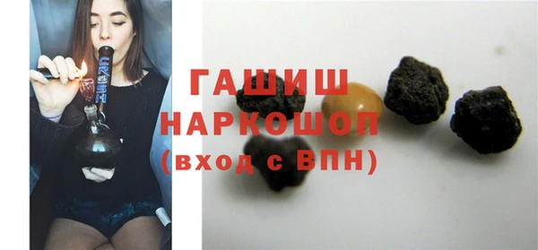 spice Богородицк
