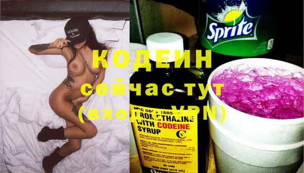 spice Богородицк